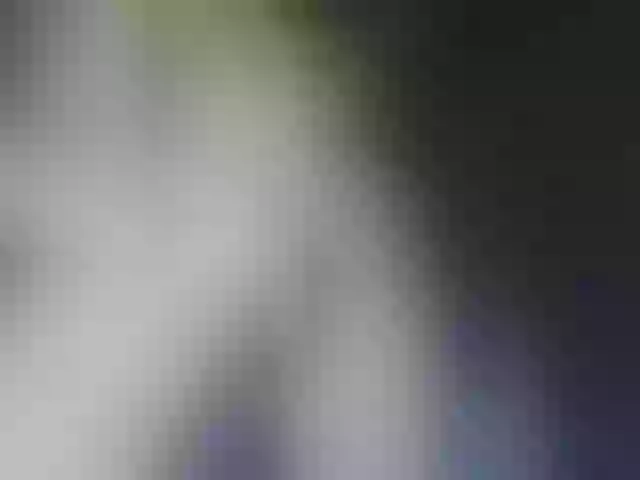 Live sex webcam photo for BeautyTriple #291370188