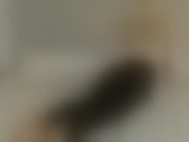 Live sex webcam photo for Bella-J #293897380