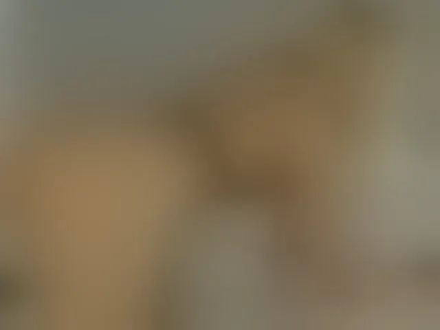 Live sex webcam photo for Bella-J #293928656
