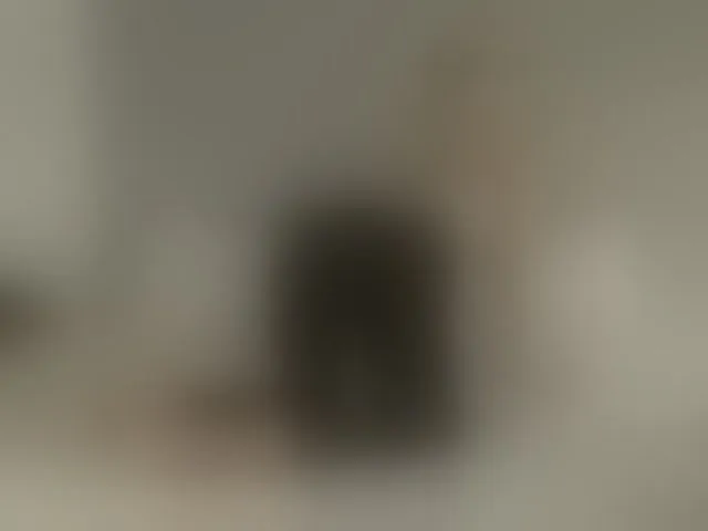 Live sex webcam photo for Bella-J #293950466
