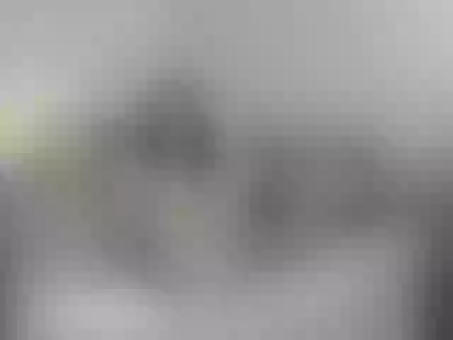 Live sex webcam photo for BellaBon #291147182