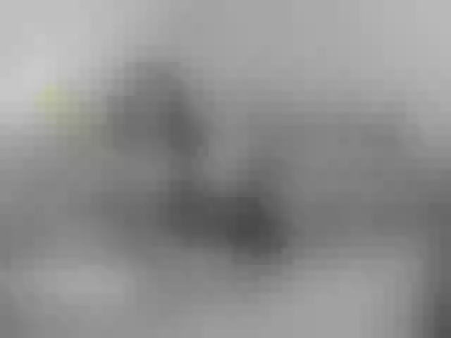Live sex webcam photo for BellaBon #291247521