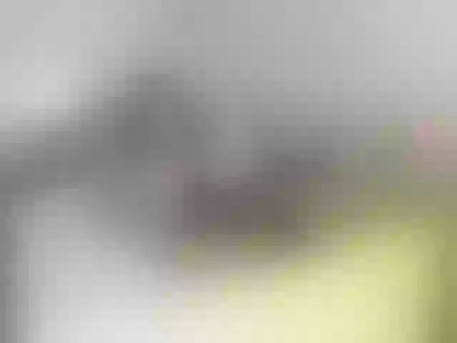 Live sex webcam photo for BellaBon #291969067