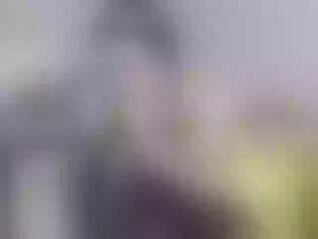 Live sex webcam photo for BellaBon #291998503