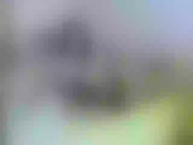 Live sex webcam photo for BellaBon #292202554