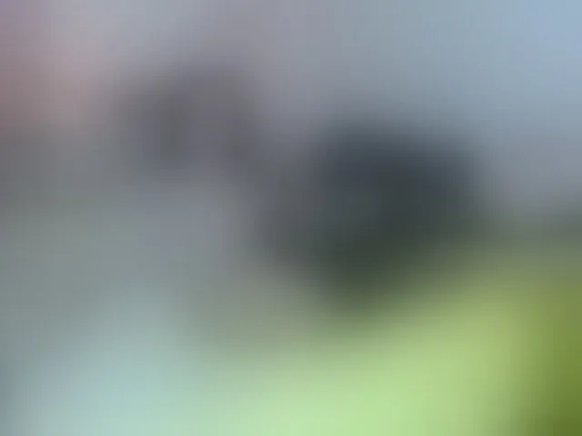 Live sex webcam photo for BellaBon #292208968