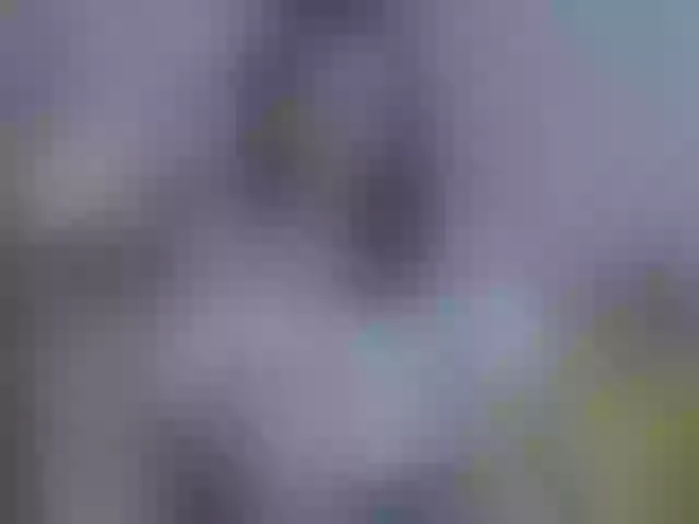 Live sex webcam photo for BellaBon #292249546