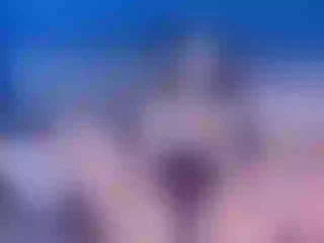 Live sex webcam photo for BellaMarieX #291092052