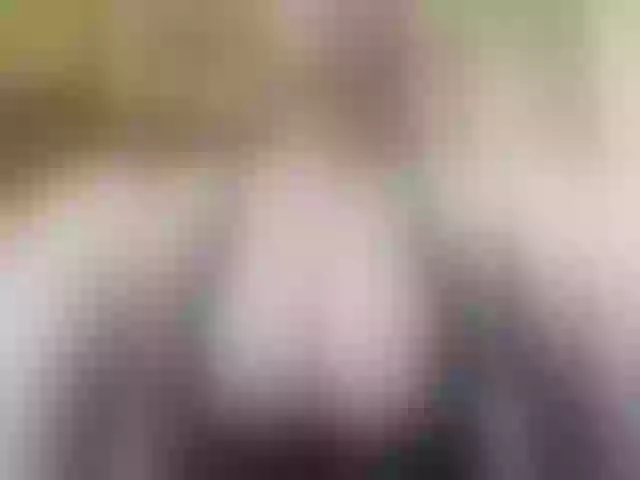 Live sex webcam photo for BellaMrr #290935758