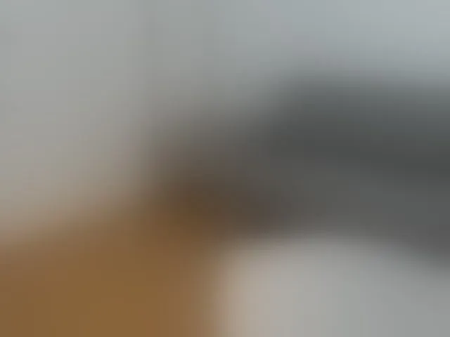 Live sex webcam photo for BellaaDona #293548128