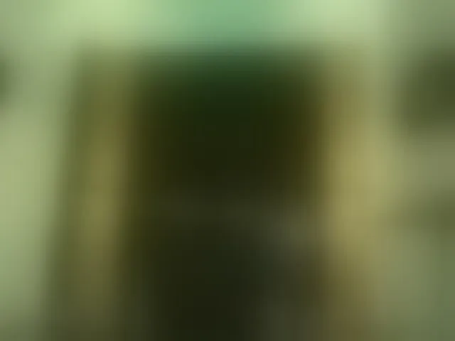 Live sex webcam photo for Bellasalvatore #293438766