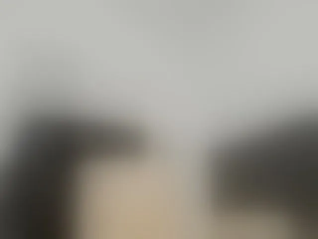 Live sex webcam photo for Bellasalvatore #294275145