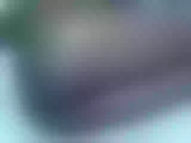 Live sex webcam photo for Beroh1 #276825596