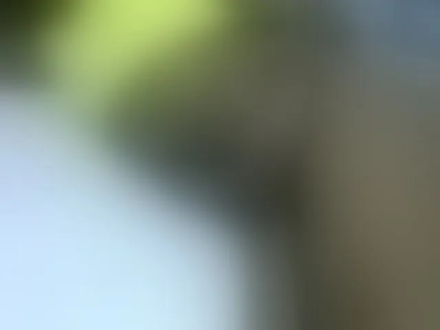 Live sex webcam photo for Beroh1 #277140018