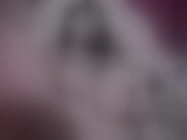 Live sex webcam photo for BerryBae #292320468