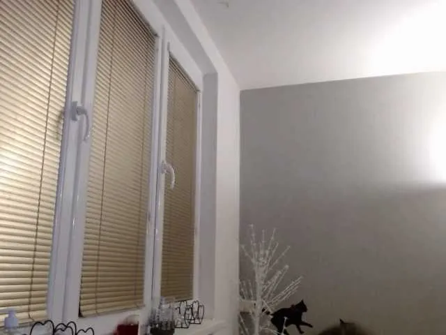 Live sex webcam photo for Bessy123 #272389384