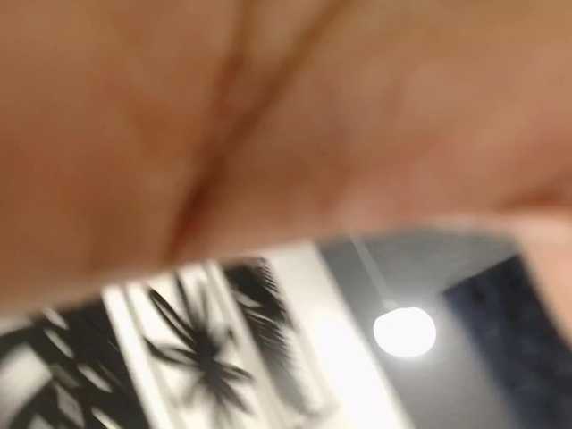 Live sex webcam photo for Beyonce-Rober #273381134