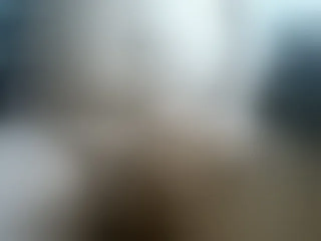 Live sex webcam photo for Bi-horny #292461709