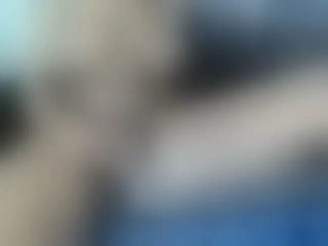 Live sex webcam photo for Big-Black-Ass #293809362