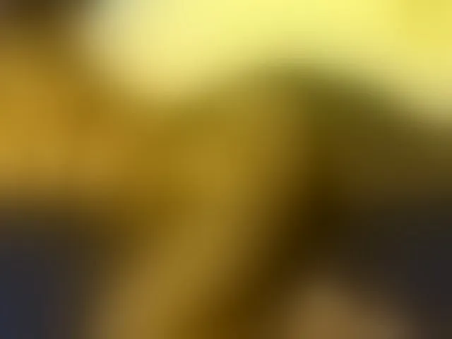 Live sex webcam photo for BigAssSharnte #293525889
