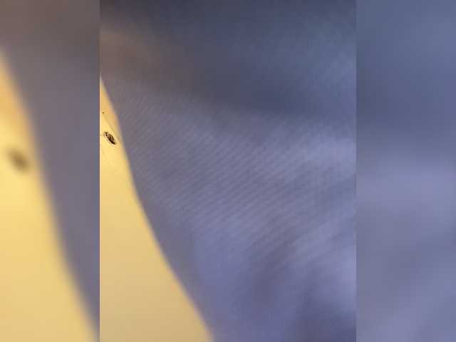 Live sex webcam photo for BigBoootyBK #274236169