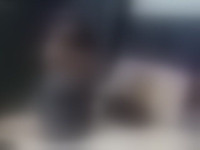 Live sex webcam photo for BigBootyVixen #294167450