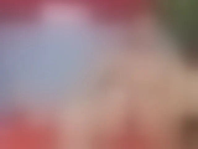 Live sex webcam photo for BigDickRogan #274264165