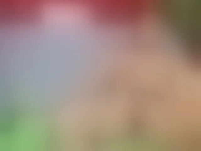 Live sex webcam photo for BigDickRogan #274275184