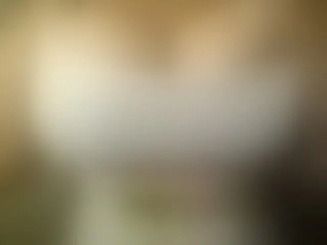 Live sex webcam photo for Bigboobsvsn #293489822