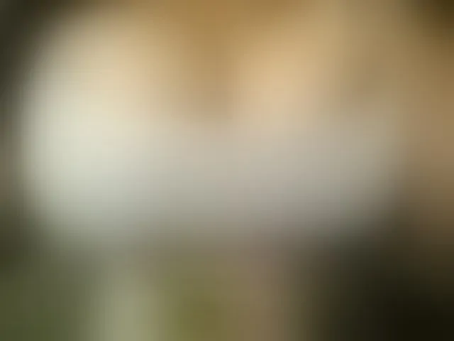 Live sex webcam photo for Bigboobsvsn #293510135