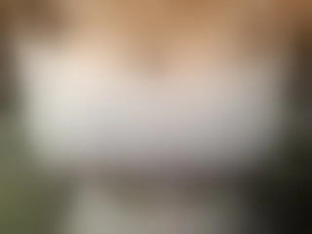 Live sex webcam photo for Bigboobsvsn #293564580