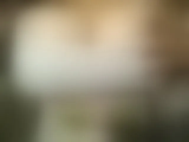 Live sex webcam photo for Bigboobsvsn #293633716