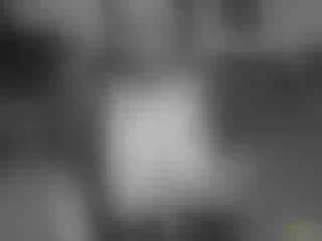 Live sex webcam photo for Black-Catt #290461178