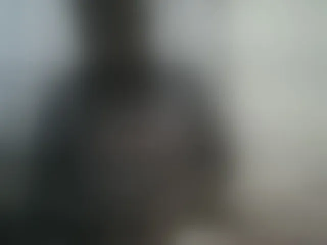 Live sex webcam photo for Blackdoll1 #293852154