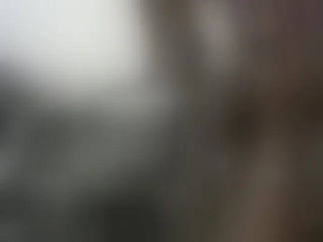 Live sex webcam photo for Blackdoll1 #293895468