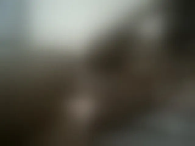 Live sex webcam photo for Blackdoll1 #293933114