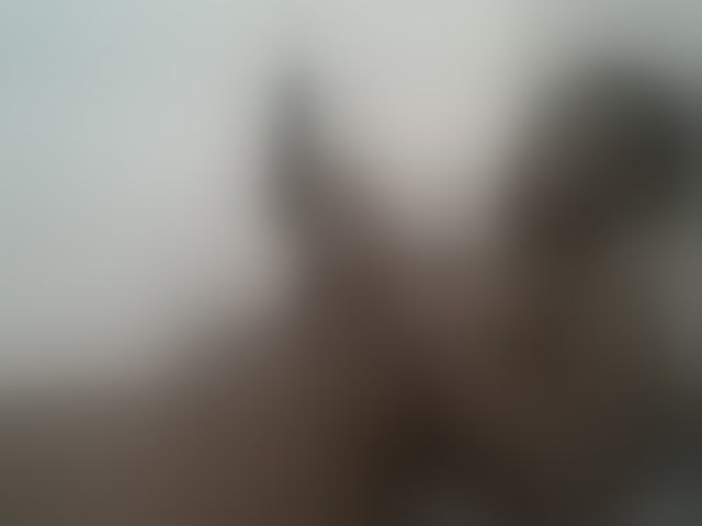 Live sex webcam photo for Blackdoll1 #293939494