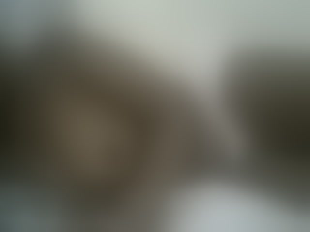 Live sex webcam photo for Blackdoll1 #293946027