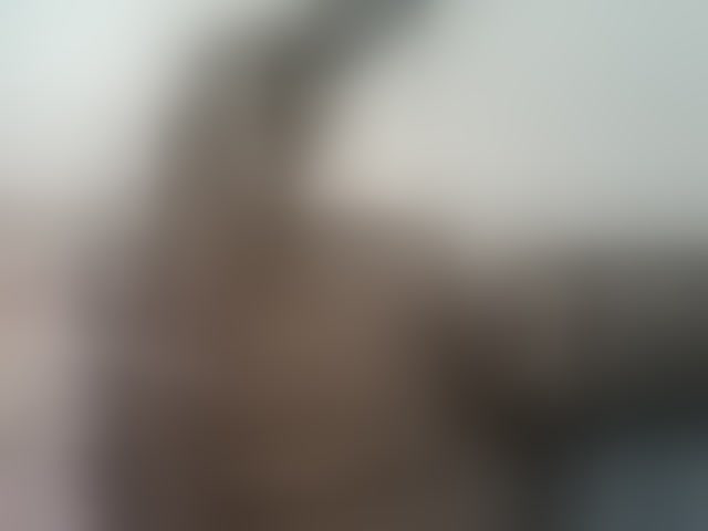 Live sex webcam photo for Blackdoll1 #293948388