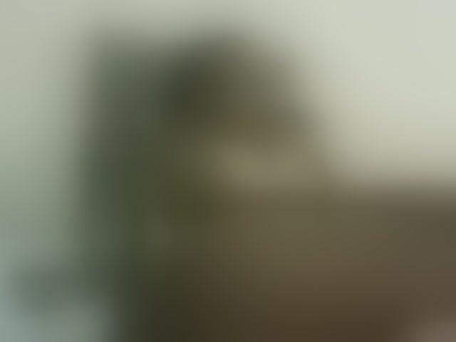 Live sex webcam photo for Blackdoll1 #294162265