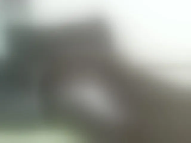 Live sex webcam photo for Blackhotass #285284653