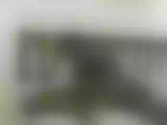Live sex webcam photo for Blackpather959 #292293412
