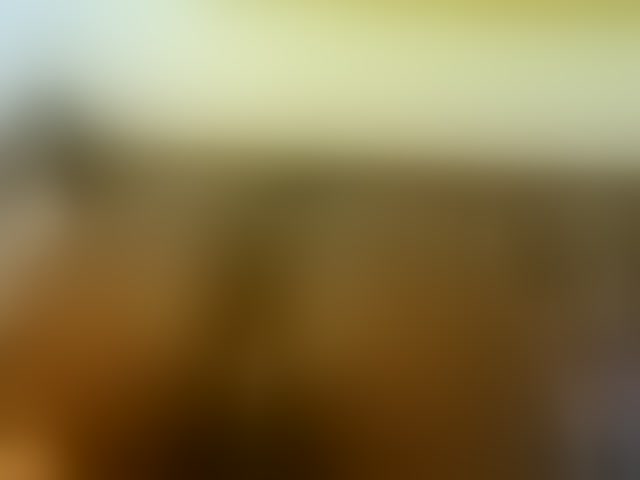 Live sex webcam photo for Blackpather959 #294299679