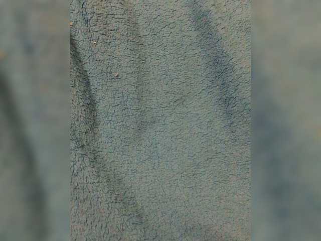 Live sex webcam photo for Blackpearl17 #272178362