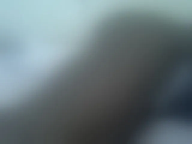 Live sex webcam photo for Blackqueeen #291146155