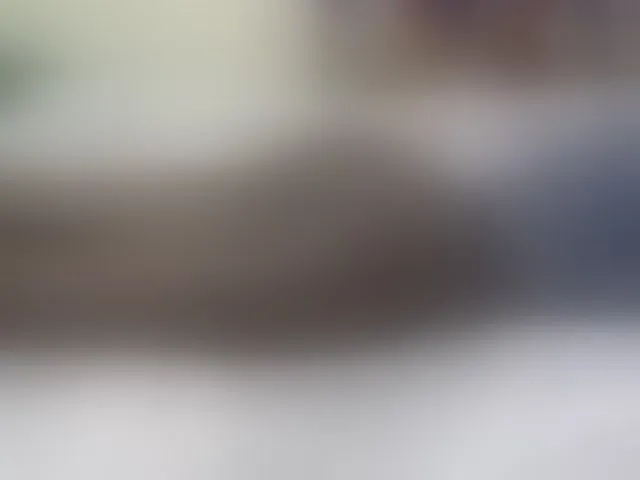Live sex webcam photo for Blackqueeen #291723542