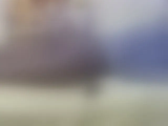 Live sex webcam photo for Blackqueeen #292152214