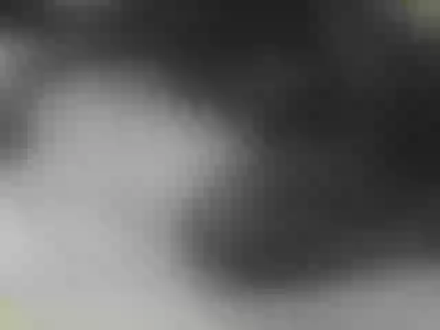 Live sex webcam photo for Blackqueeen #292203454