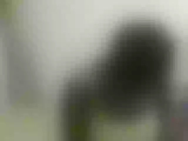 Live sex webcam photo for Blackqueeen #292253879