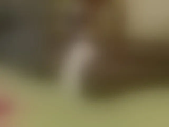 Live sex webcam photo for Blackqueeen #292553576